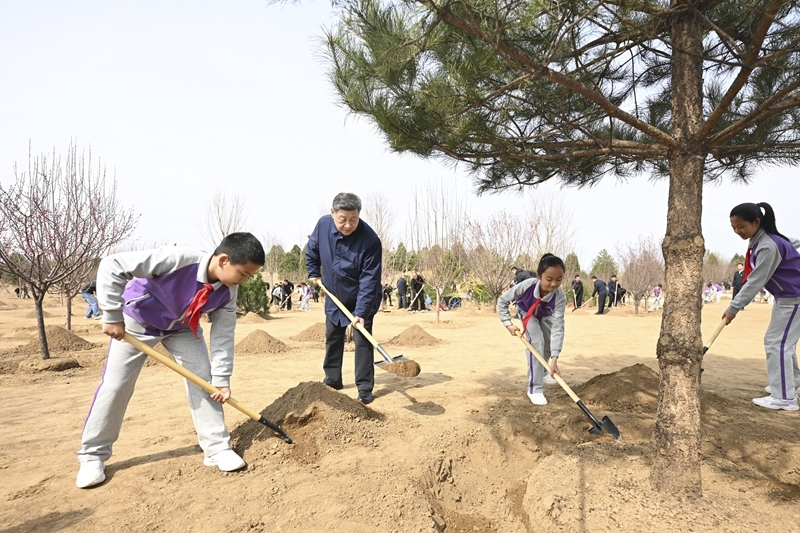 习近平在参加首都义务植树活动时强调：为山川大地增添锦绣 让中国式现代化底色更加亮丽