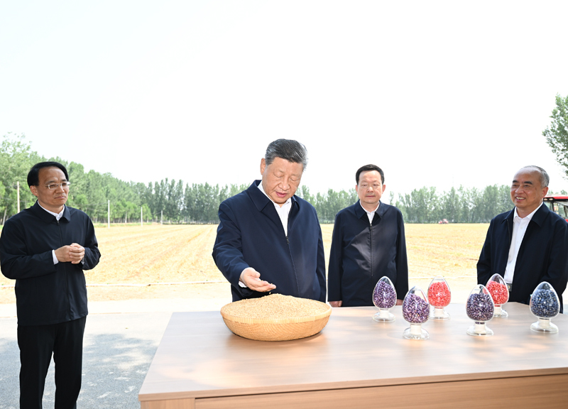 习近平主席在山东德州考察时强调 以扎实举措推进农业农村现代化 用勤劳和智慧创造更加美好生活